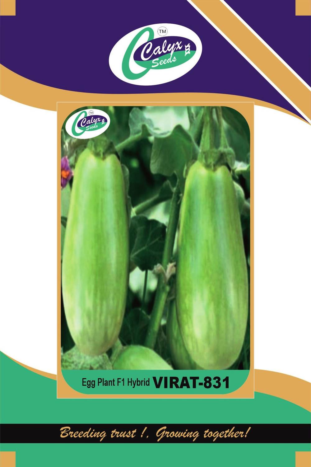BBH 2014 vol.1アペンド CALYXSEEDS : VIRAT-831, F1 HYBRID EGG PLANT, HYBRID BRINJAL