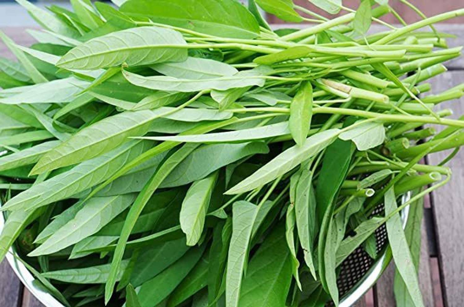 Beej Wala Water Spinach Thai Kangkong Spinach Nari pack of 100+ seeds Seed