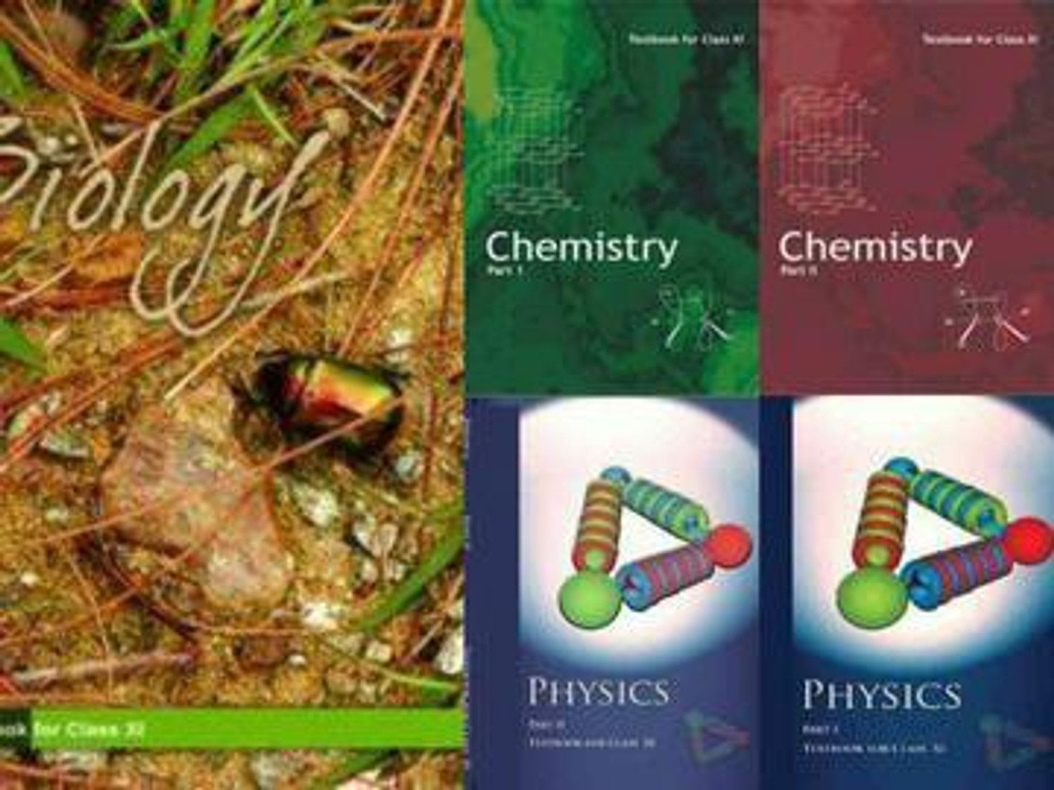 Image of NCERT Class 11 (PCB) NCERT 2023-2024. Book Set. Set Of 5 Books. Physics Part 1 & 2, Chemistry Part 1 & 2 And Biology English Medium