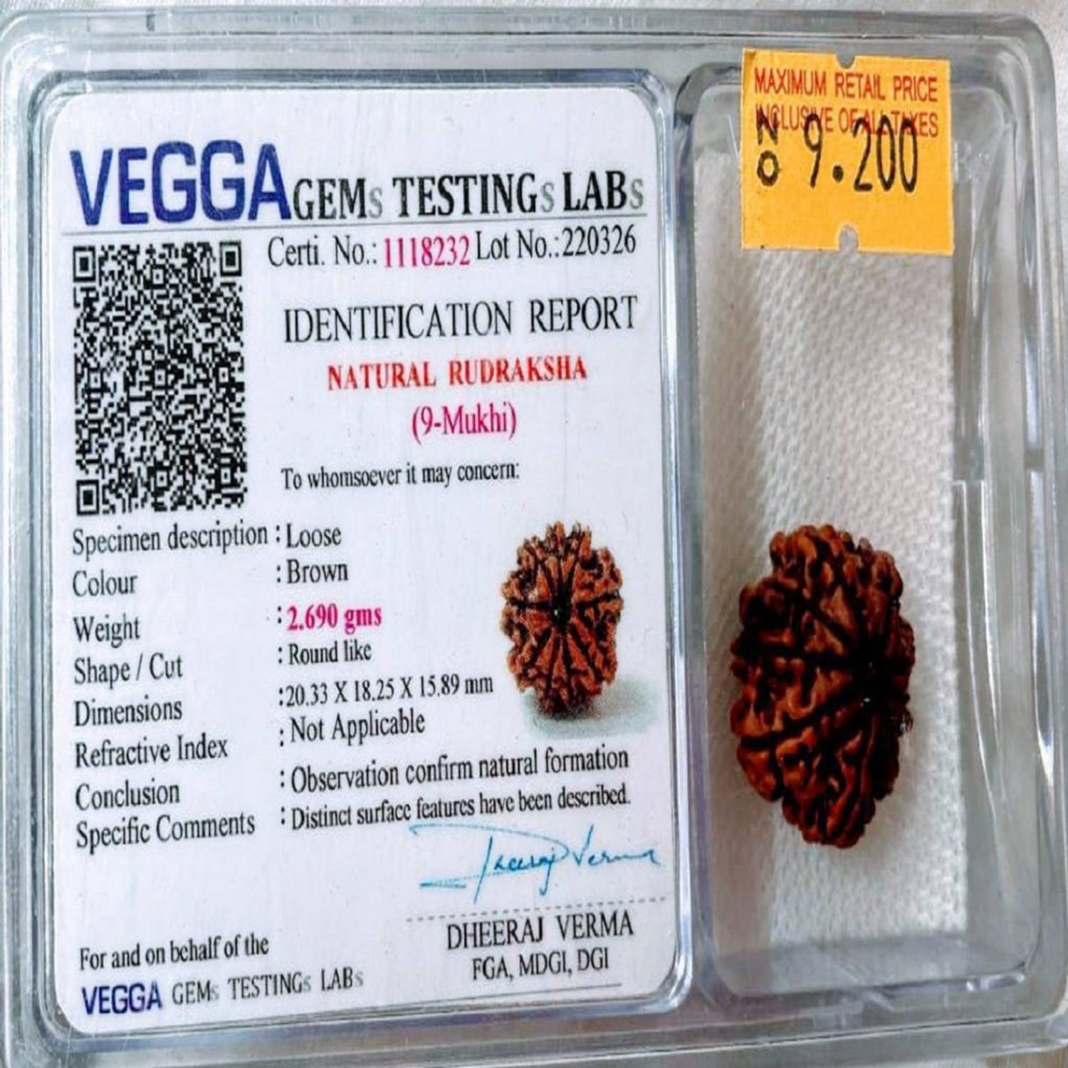 Vegga 9 mukhi rudraksha nepali/ 9 mukhi vegga certified Wood Price