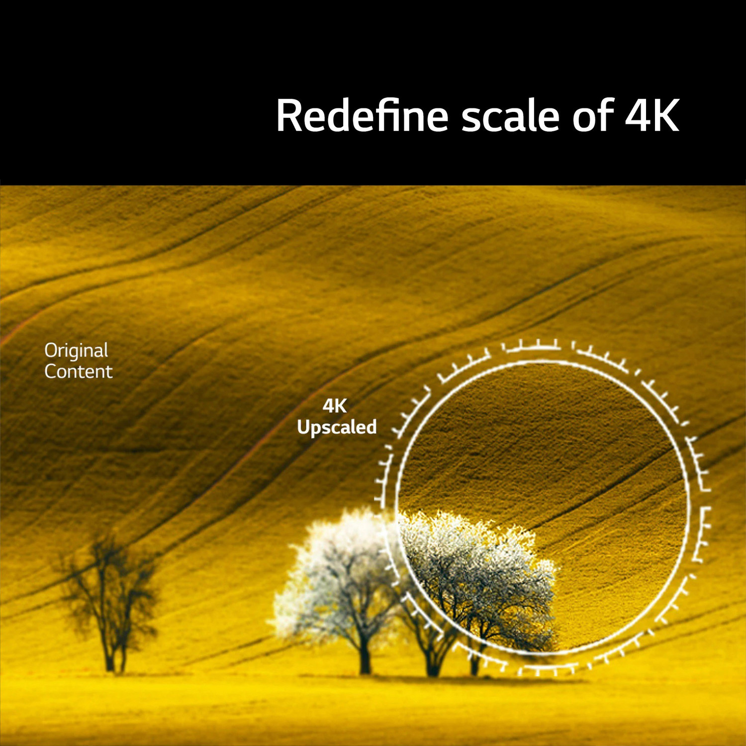 Image of LG UQ8020 139 cm (55 inch) Ultra HD (4K) LED Smart WebOS TV with ThinQ AI & Magic Remote Control