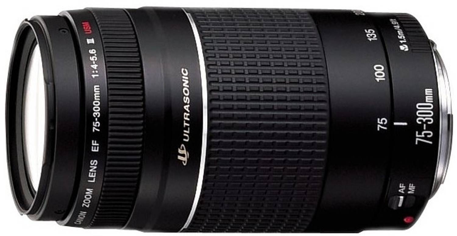 【L2236】 Canon EF 75-300mm 4‐5.6 Ⅲ USM Canon EF 75 - 300 mm f/4-5.6 III USM Telephoto Zoom Lens - Canon