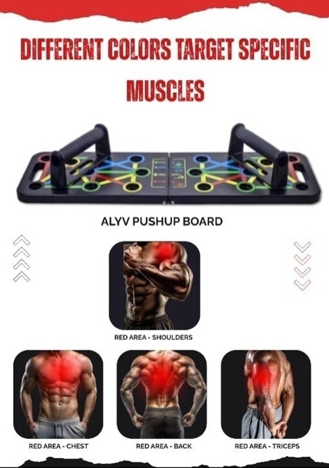 gim Portable Multi-Function Pushup Board - Image 3