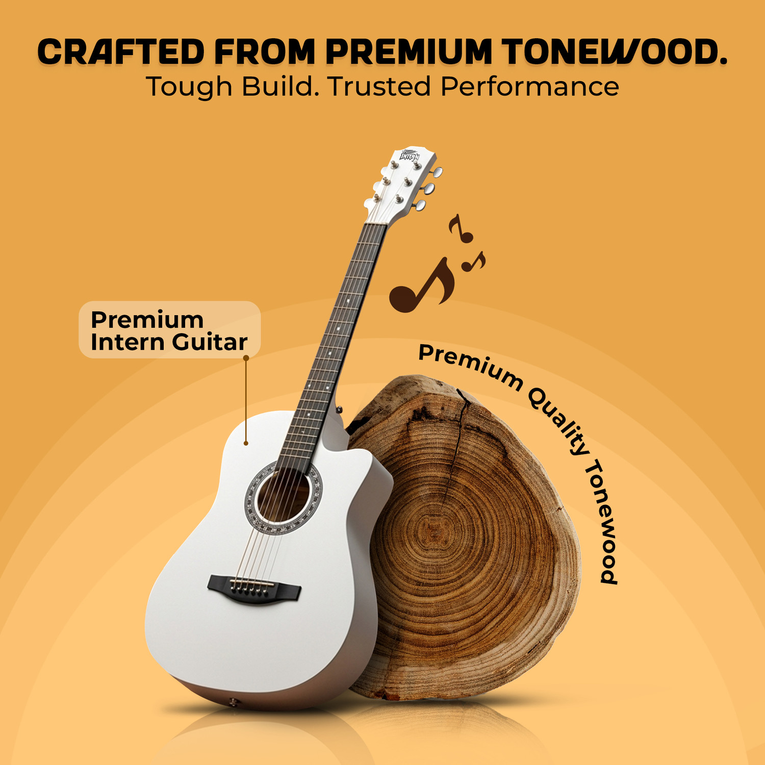 Image of intern White Acoustic Guitar Rosewood Ebony Right Hand Orientation