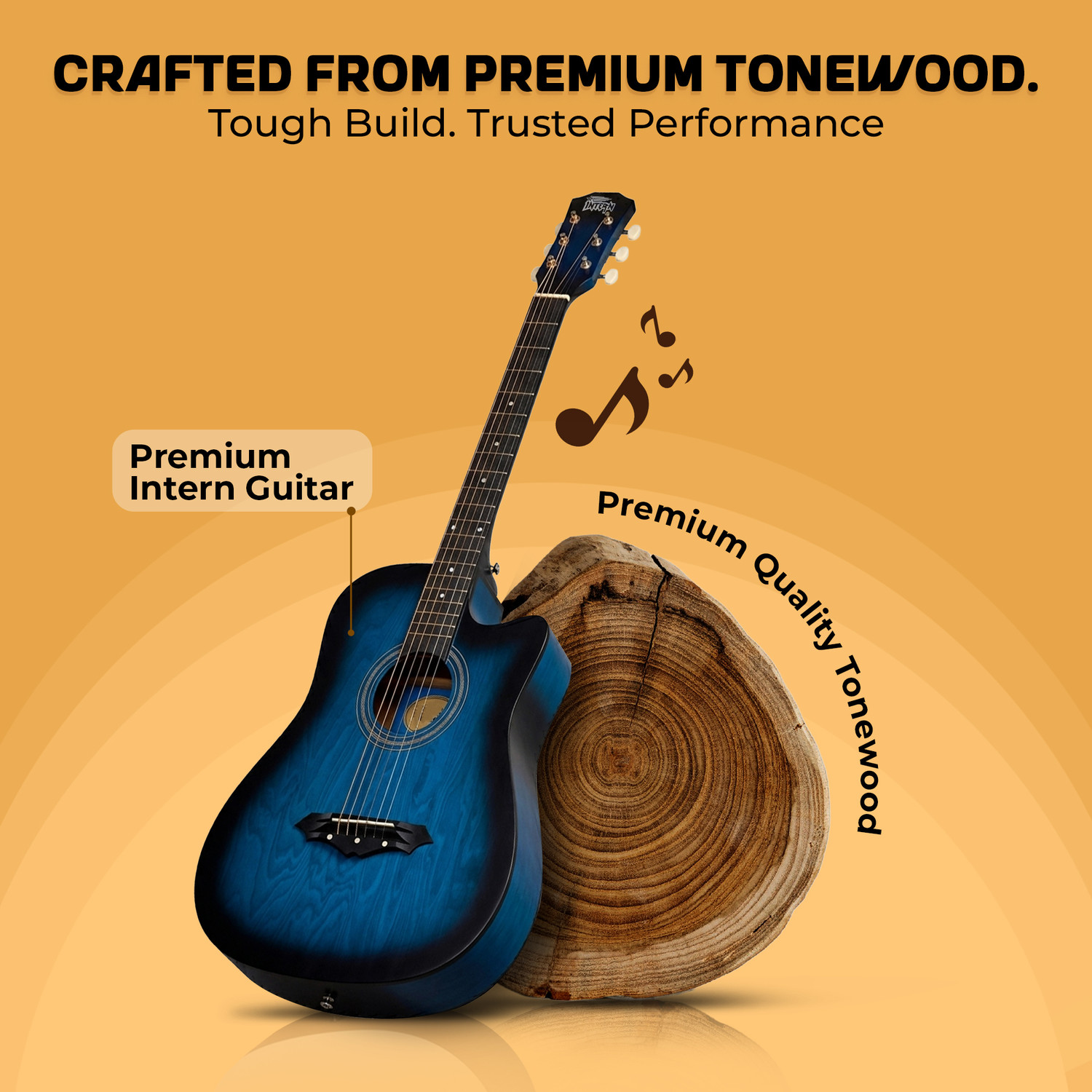 Image of intern Blue Acoustic Guitar Rosewood Ebony Right Hand Orientation