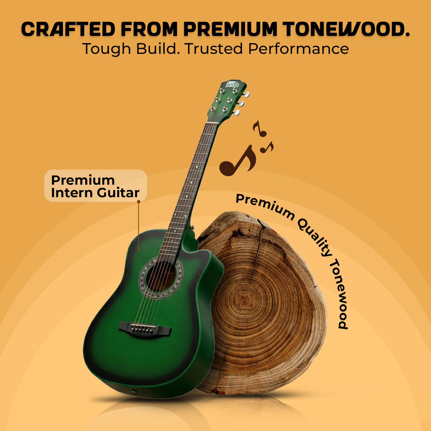 Image of intern INT-38C-GR Acoustic Guitar Rosewood Ebony Right Hand Orientation