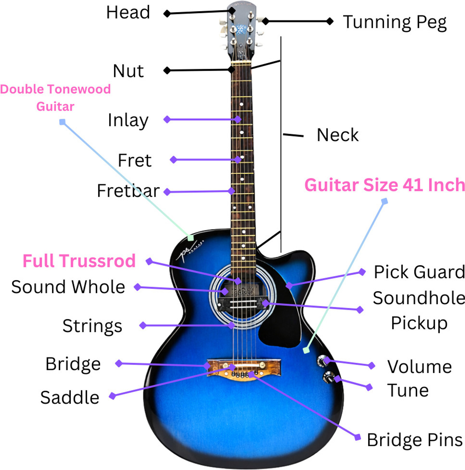 Image of P S Signature PS Signature Blue Glossy 41 Inch Acoustic Guitar with Volume & Tone Control Acoustic Guitar Tonewood Rosewood Right Hand Orientation