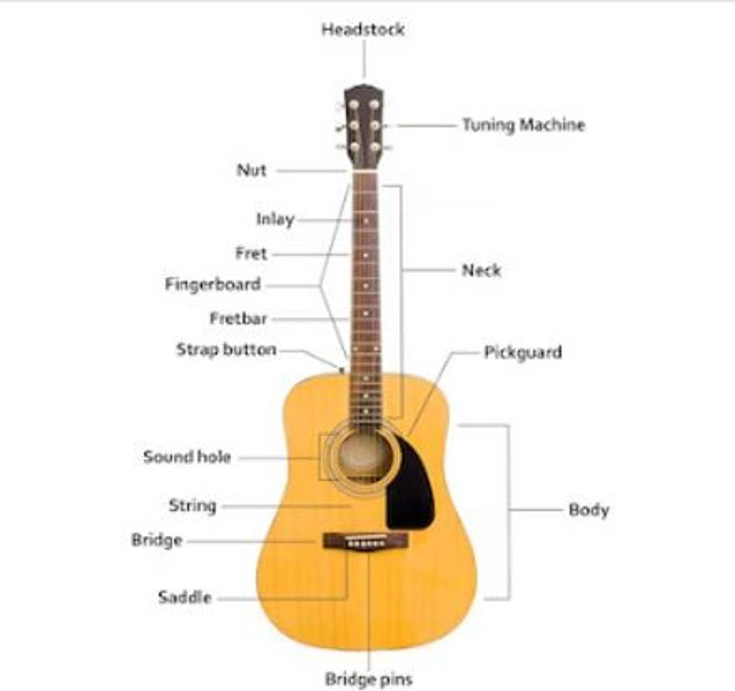 STRUMEX 41 inch Acoustic Guitar with Truss Rod - Image 4