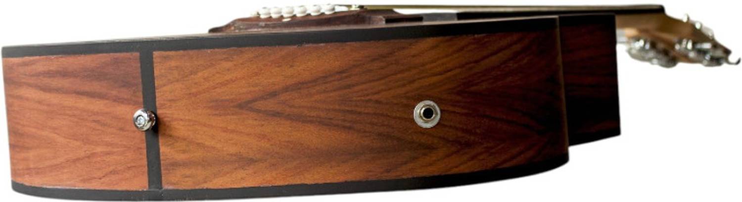 Pleasure Cutway39SB Acoustic Guitar Rosewood - Image 4