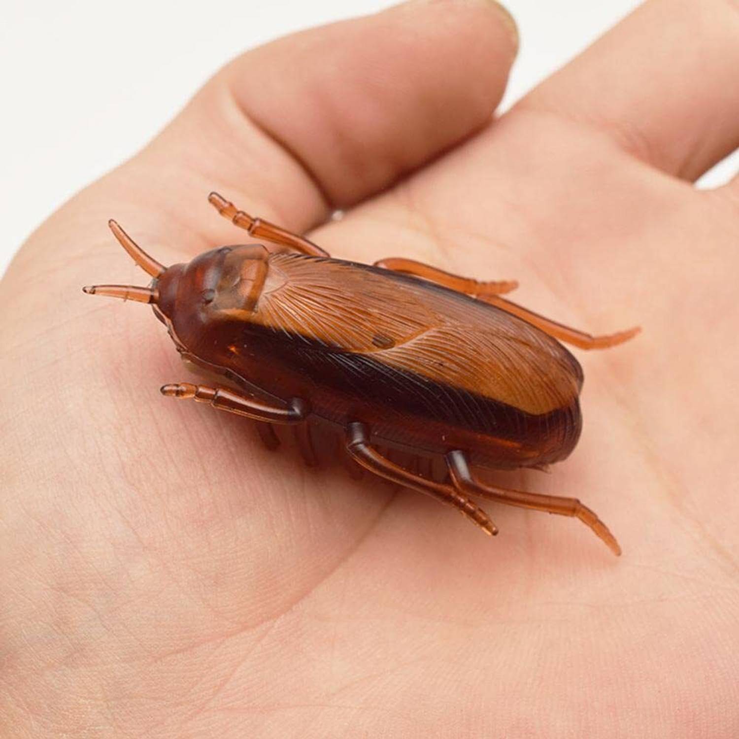 Muren Vibrating Cockroach Bug Prank Toy for Fun Electronic Simulation Insect  Crawl - Vibrating Cockroach Bug Prank Toy for Fun Electronic Simulation  Insect Crawl . shop for Muren products in India. | Flipkart.com