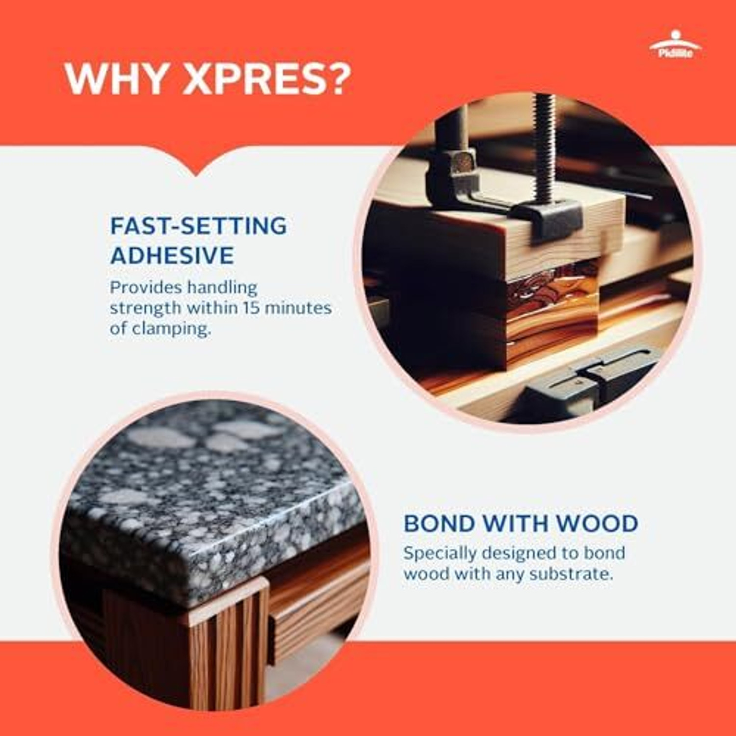 Image of FEVICOL Xpres- Bonds wood to anything in minutes Adhesive (500 g)