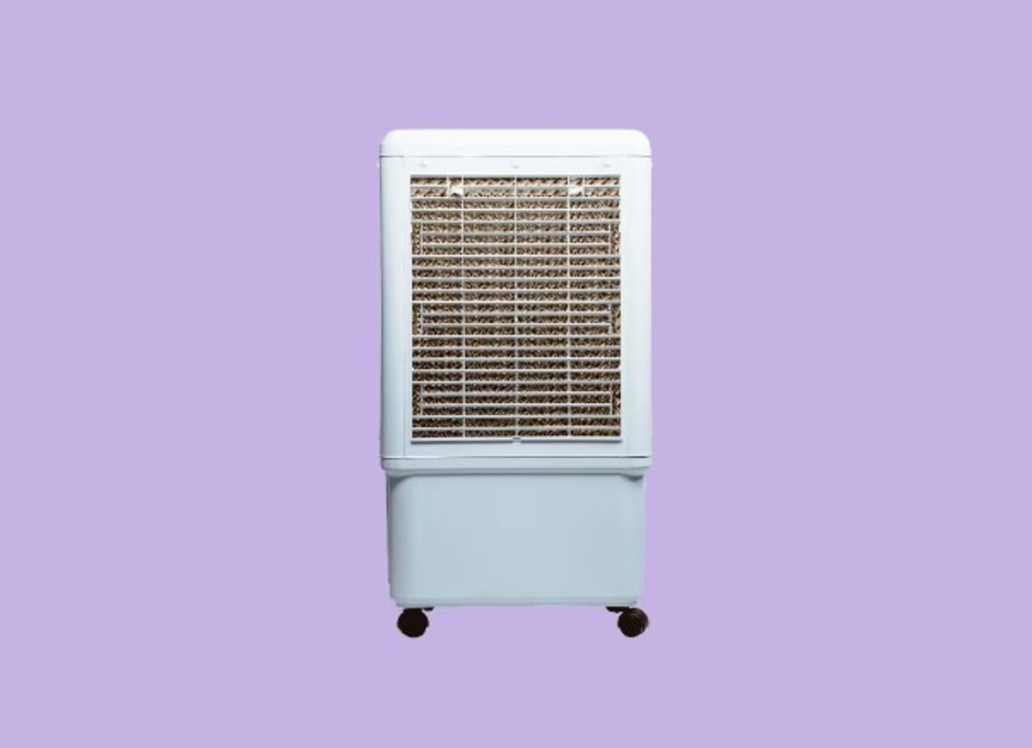 Image of WYZR 50 L Desert Air Cooler