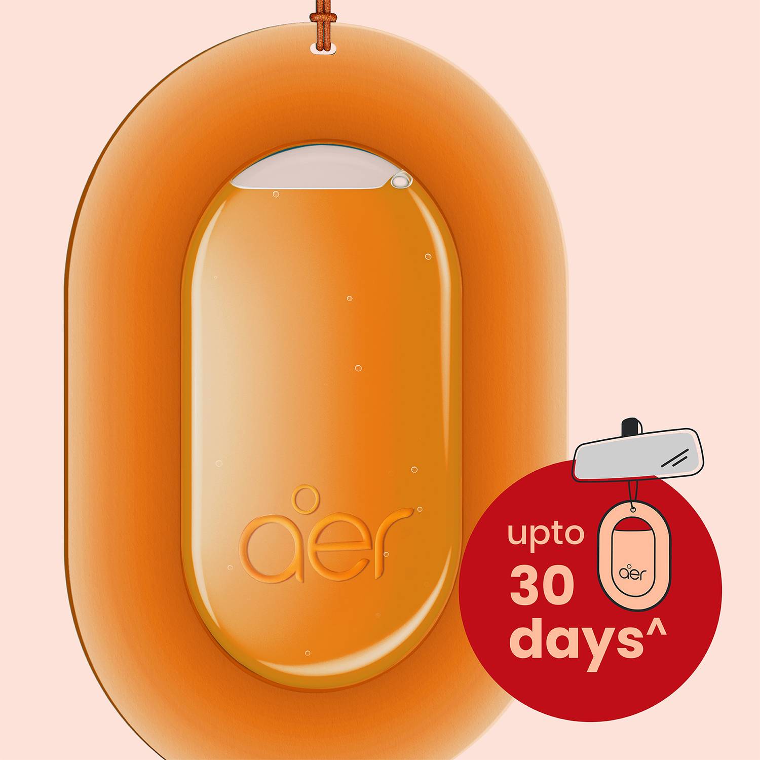 Godrej Aer Assorted Car Freshener Blocks - Image 4