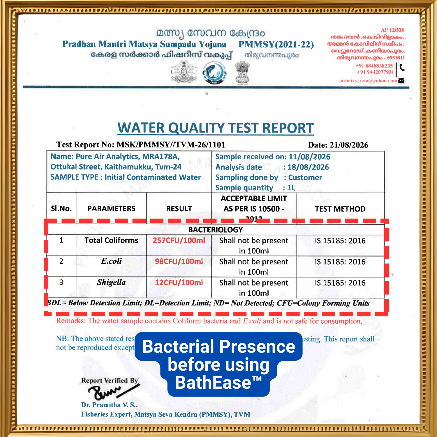 Image of BathEase Chlorine Water Purification Tablets for Overhead & Underground Tanks