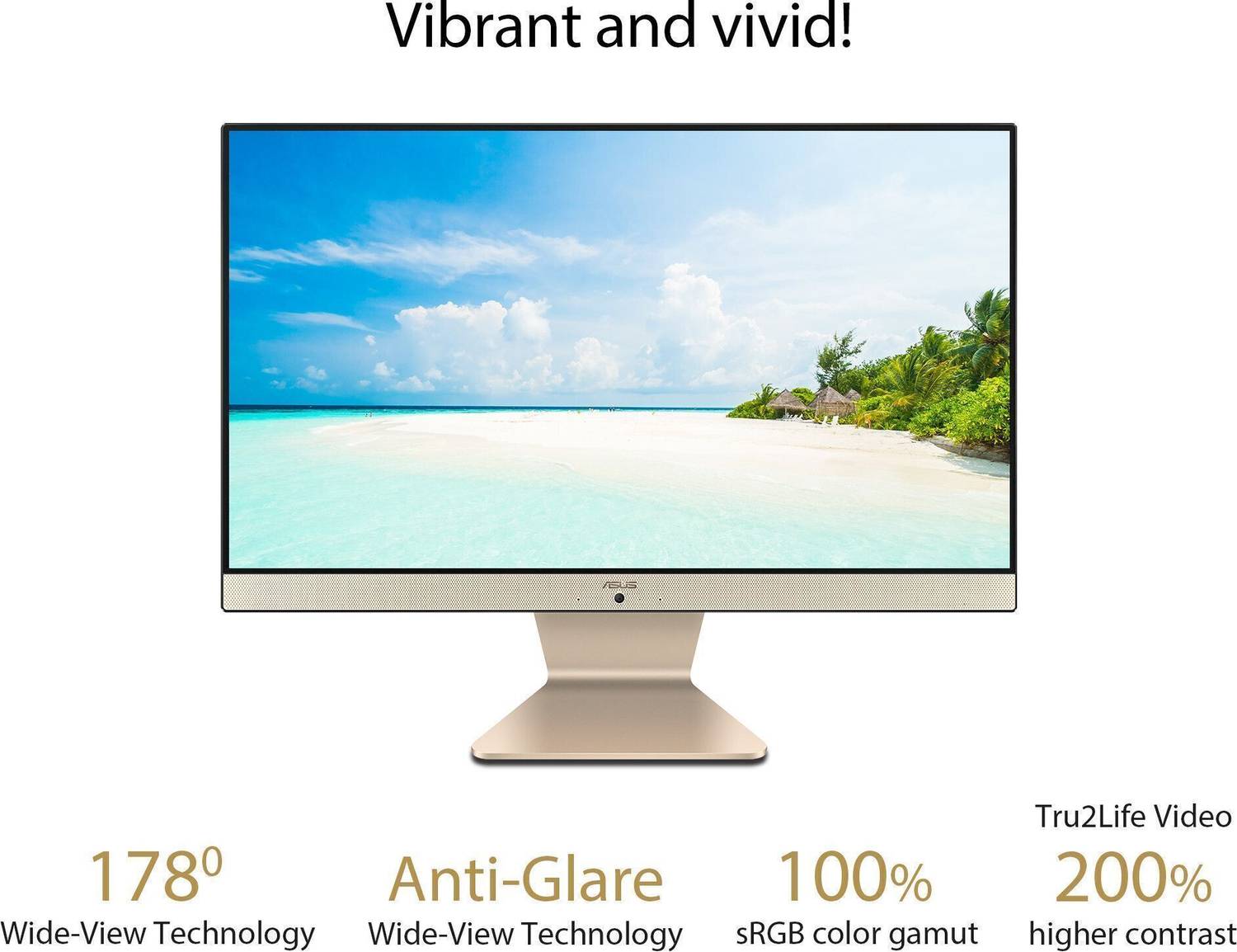 ASUS Vivo AiO V222, All in One Desktop, Intel Pentium Dual Core (8