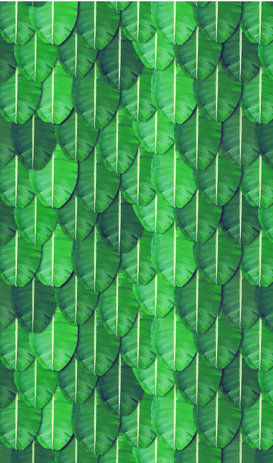 Backdropon Banana Leaf Design(Aaritaku) Wedding Backdrop size 8Feet Height and 5Feet width