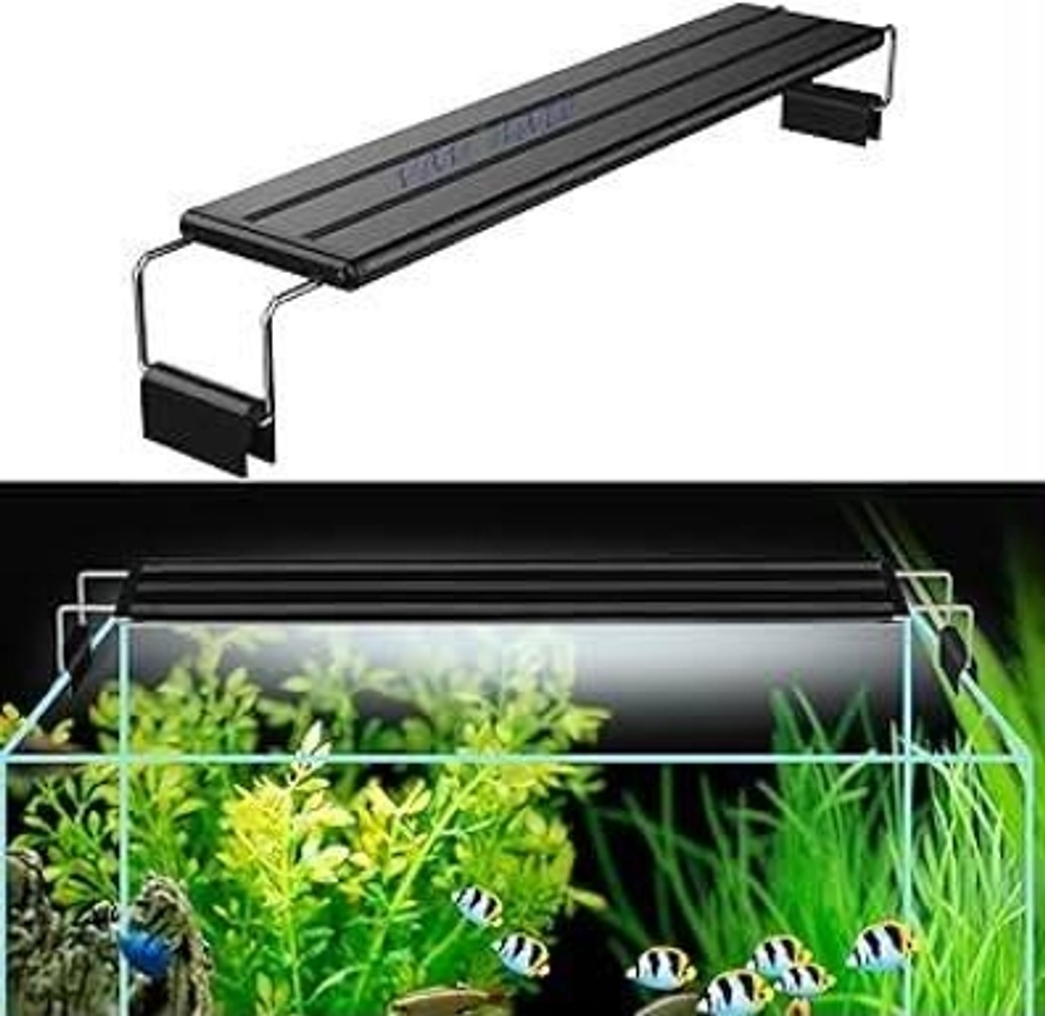 Image of Blue Aqua Pets Black LED Aquarium Light (Freshwater Planted Tank, Freshwater Fish Tank)