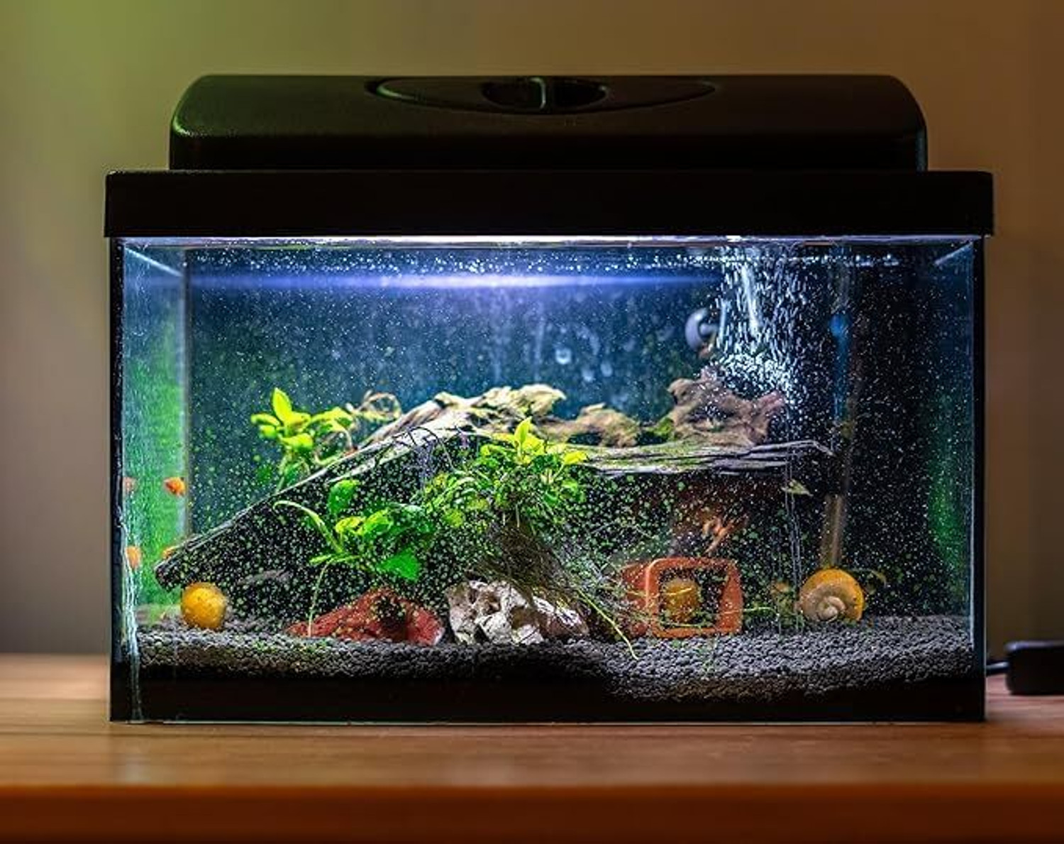Image of Scroll Store Aqua Soil 3L for Planted Aquarium Aqua Soil Planted Substrate