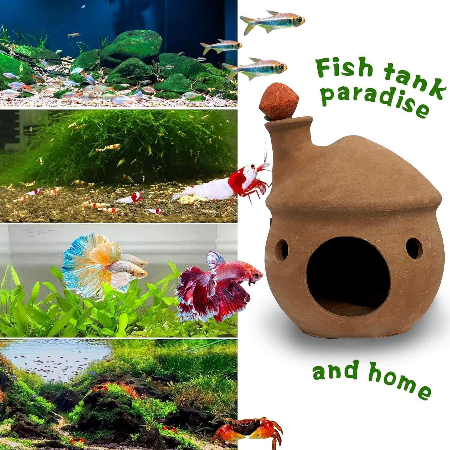 Image of Jainsons Pet Products Mushroom House Ornament and Igloo House Ornament Fish Tank Landscape Decoration Shale Unplanted Substrate
