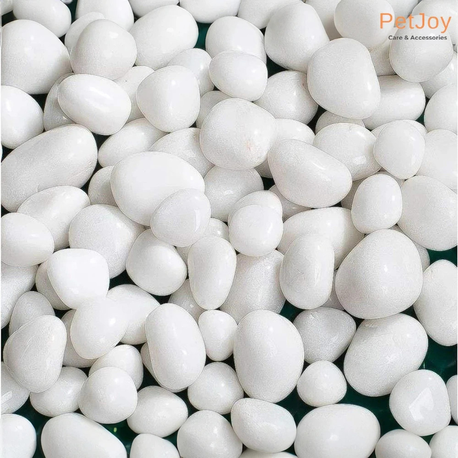 Image of PetJoy White Pebbles- 2Kg (2.5cm - 4cm) |Aquarium Fish Tank |Unplanted Substrate Gravel Unplanted Substrate