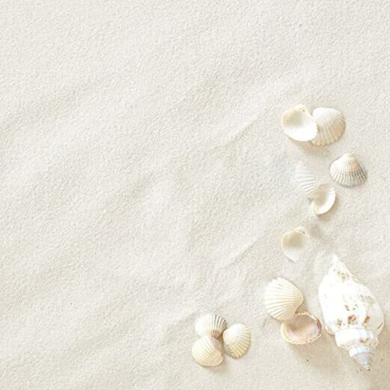 Image of PIKVY PIKVY Natural Aquarium WHITE Sand for Lawn, Garden, Plants, & Aquarium Decor Sand Unplanted Substrate