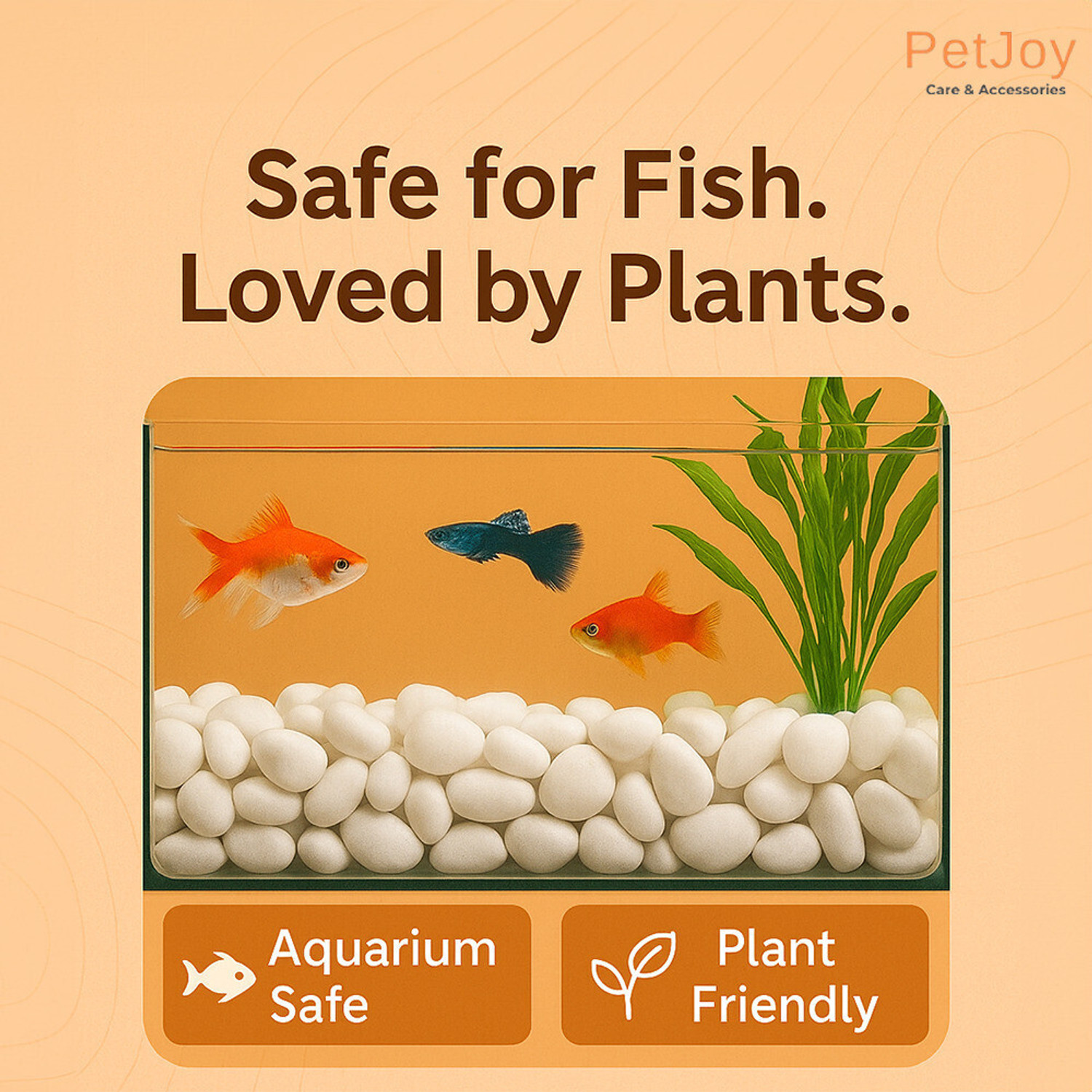 Image of PetJoy White Pebbles- 2Kg (2.5cm - 4cm) |Aquarium Fish Tank |Unplanted Substrate Gravel Unplanted Substrate