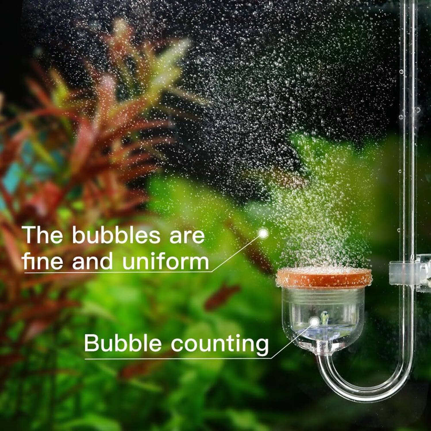 Aquanature 250mm U Shape Co2 Diffuser - Image 2