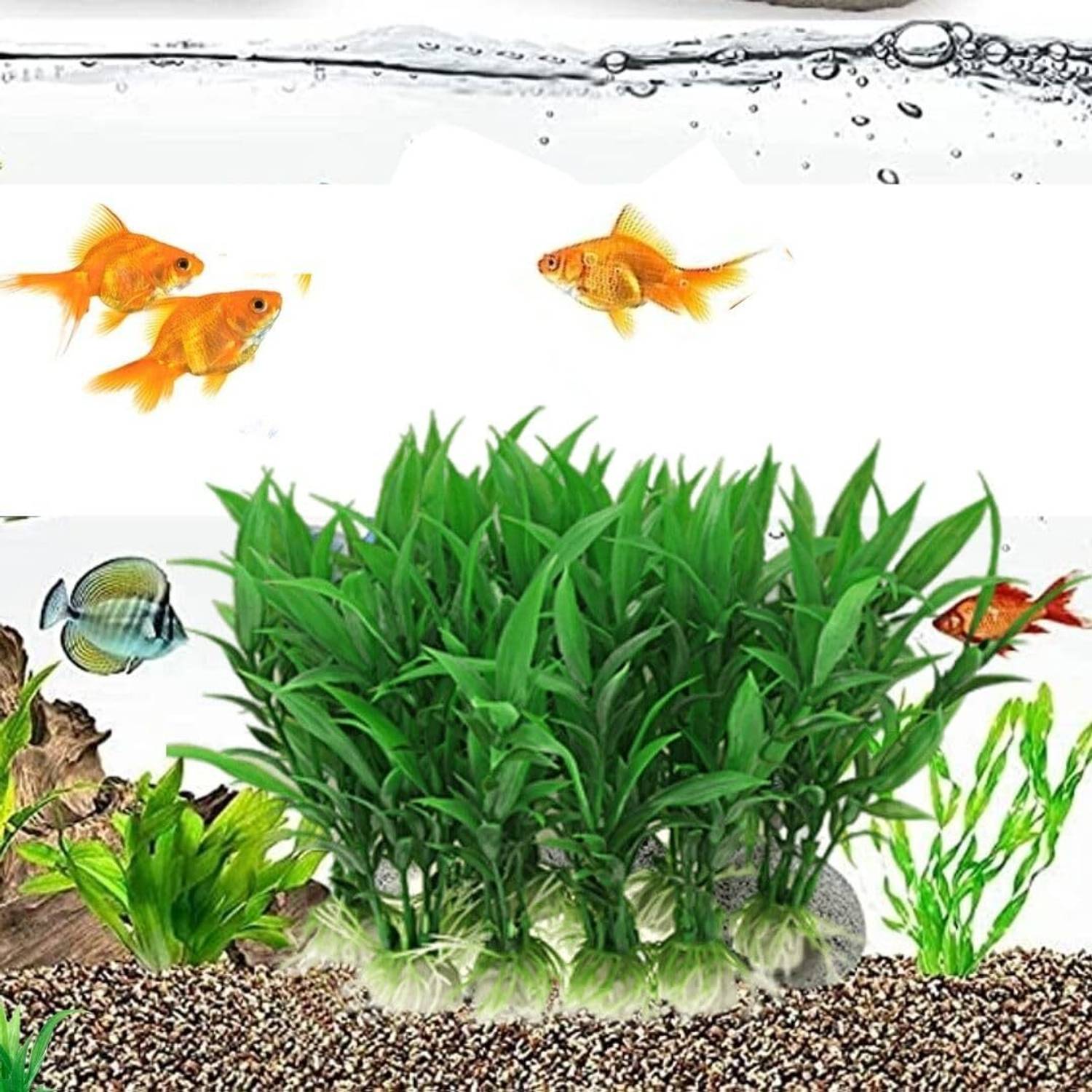 fish tank grass accessories Aquarium Water Seeds for | 100+ Seeds Provides a beautiful decoration for your aquarium 4x Aquarium Eco-Friendly Artificial Green