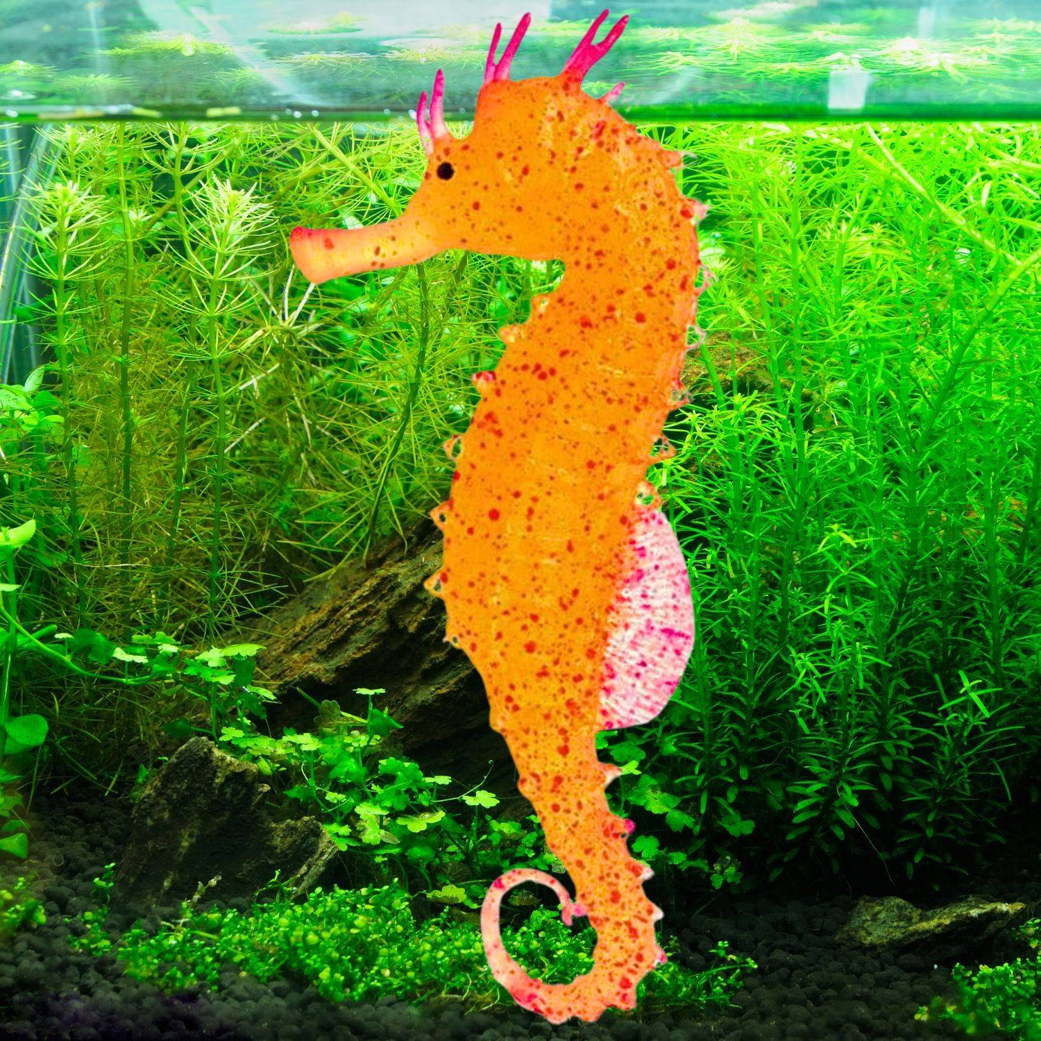 fish tank accessories flipkart Petzlifeworld 2 Pcs Floating Mini Cute Human Diver Aquarium  PetzLifeWorld this decorative fish tank decor sways gently with the waters current while glowing brightly under blue aquarium lighting for added visual appeal VAYINATO Glowing Effect Sea Horse