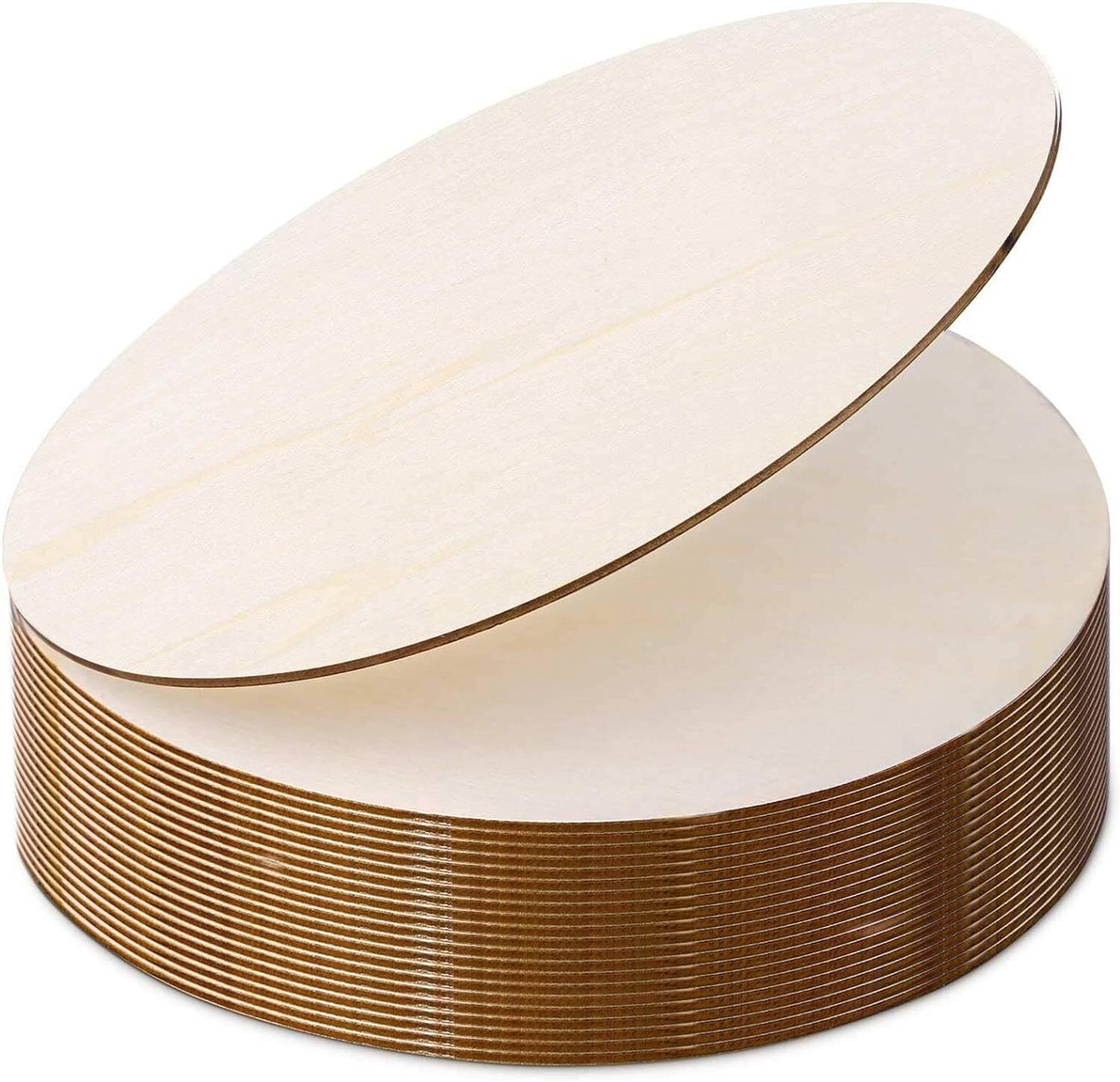 AmericanElm American Elm 12 Pcs Unfinished Wood Pieces Circle 4 Inch
