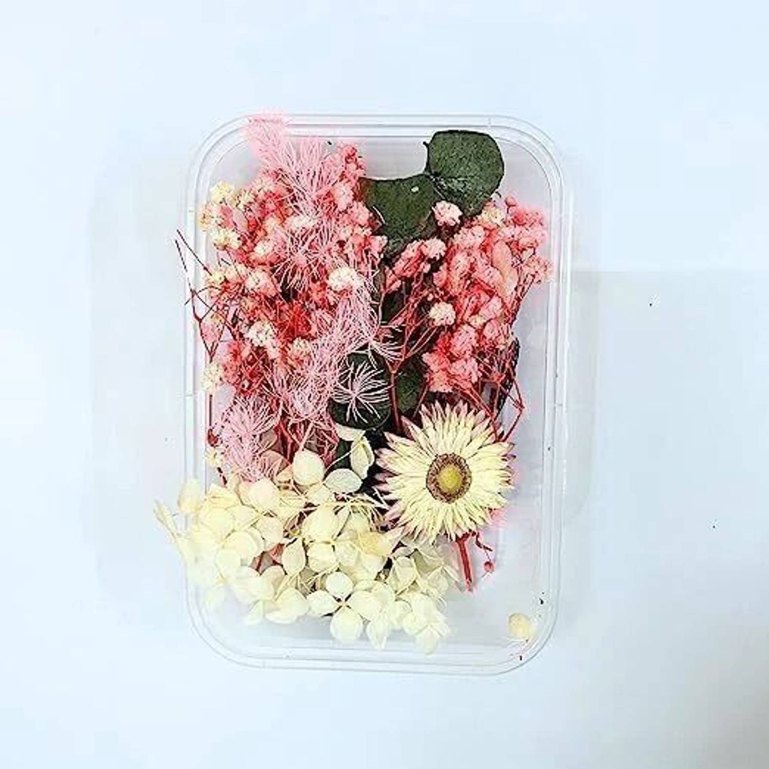 Artefact Multi-Color Real Dry Flowers for Art, Craft, Home Decor (1-Box Any Colour) Multicolor Dried Twigs Artificial Flower