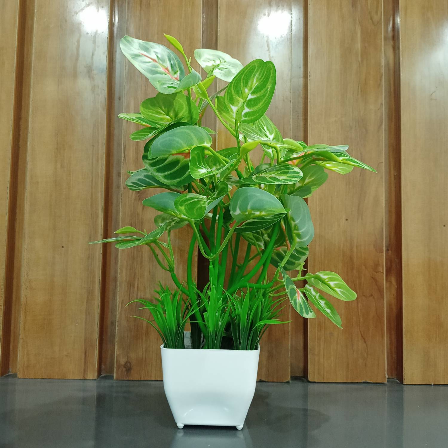 Decogreen POTHOS G, SQ POT GRASS Home, Office Real Touch Money P,