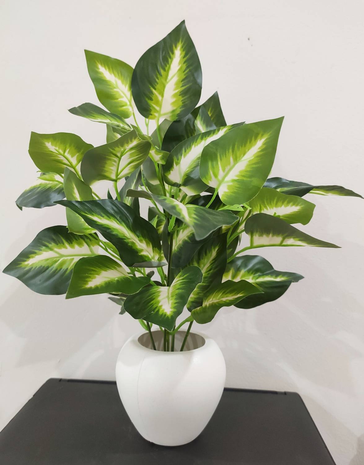 BAARIG Natural Looking Money Plant Artificial Plant with Pot (36