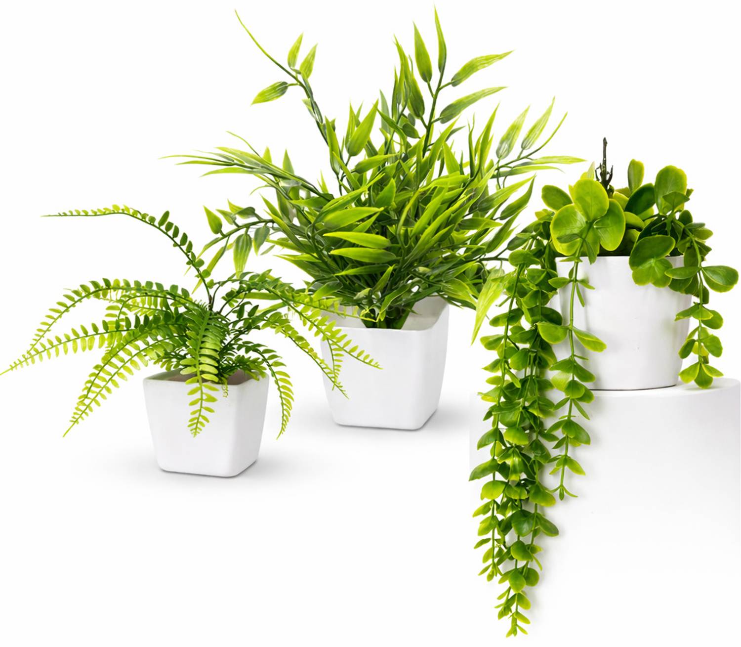 Ansaribrothers Artificial- Small-3Plants with Pots For Home Wall Balcony decoration Bonsai Artificial Plant  with Pot