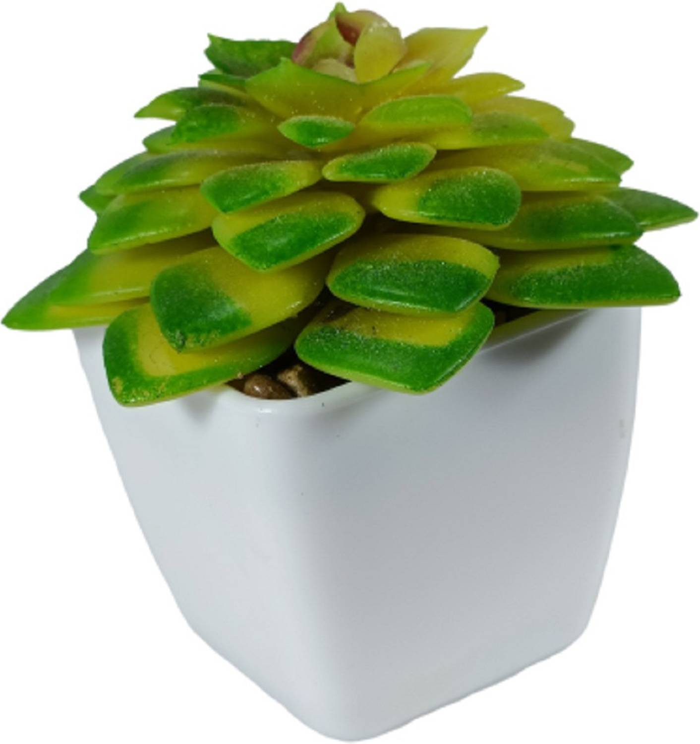BHOOLU&GOOLU Artificial Bonsai for Decoration- Style6 (Size: 7 cm) Bonsai Artificial Plant  with Pot
