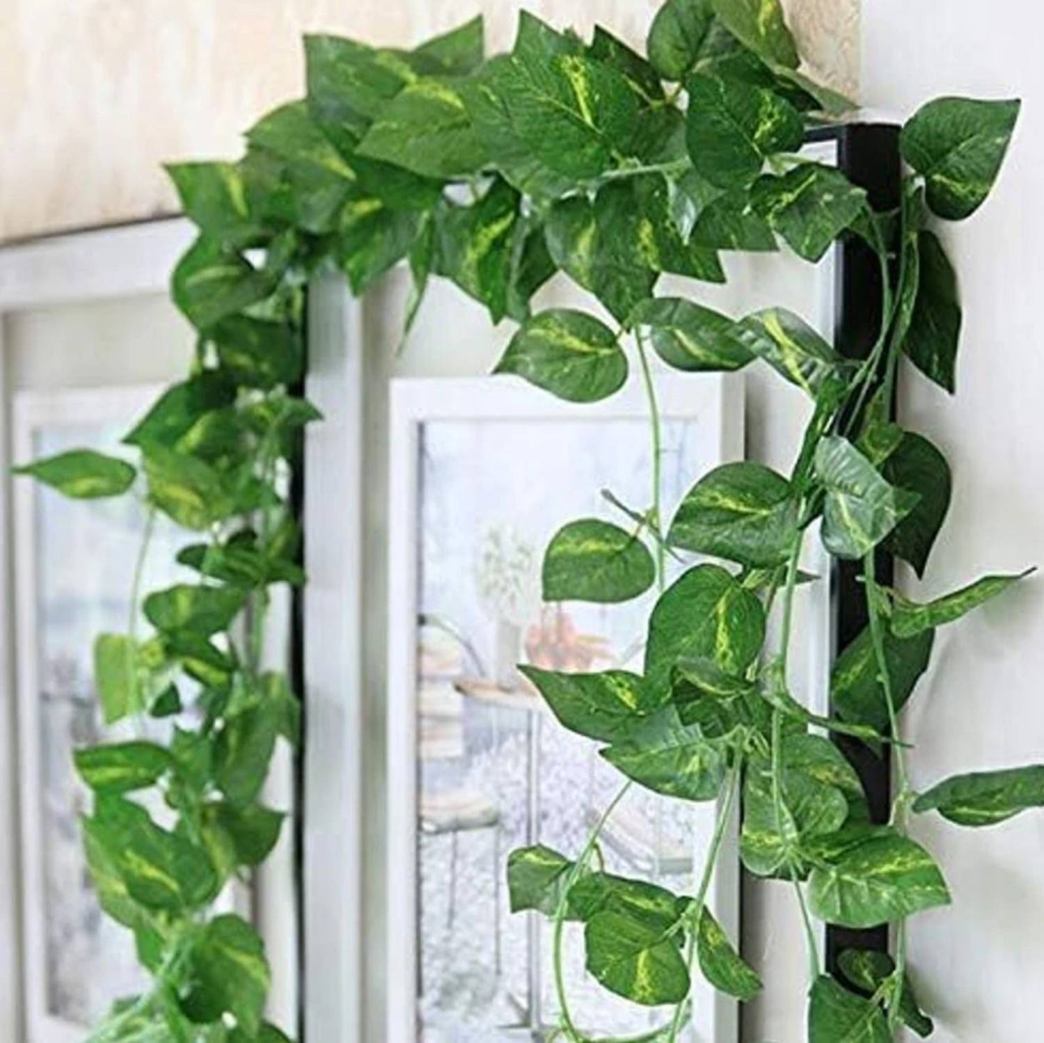 VP Quality 8ft Set of 4 Artificial Money Plant Vine,For|Home