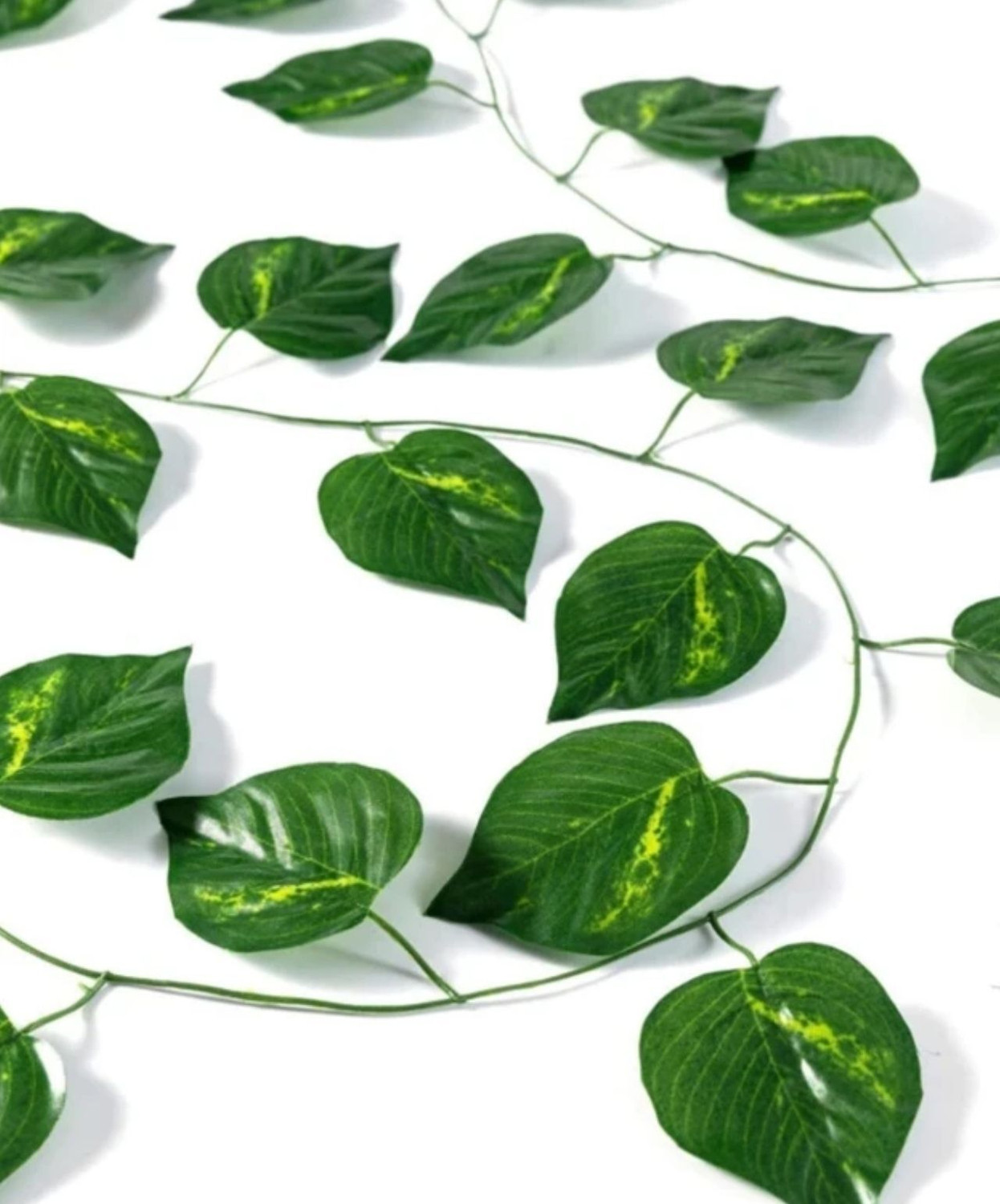 Image of HYPEBEAST 8ft Set of 3 Artificial Money Plant Vine,For|Home|Wall|Office|Garden|Decoration Green Hibiscus Artificial Flower