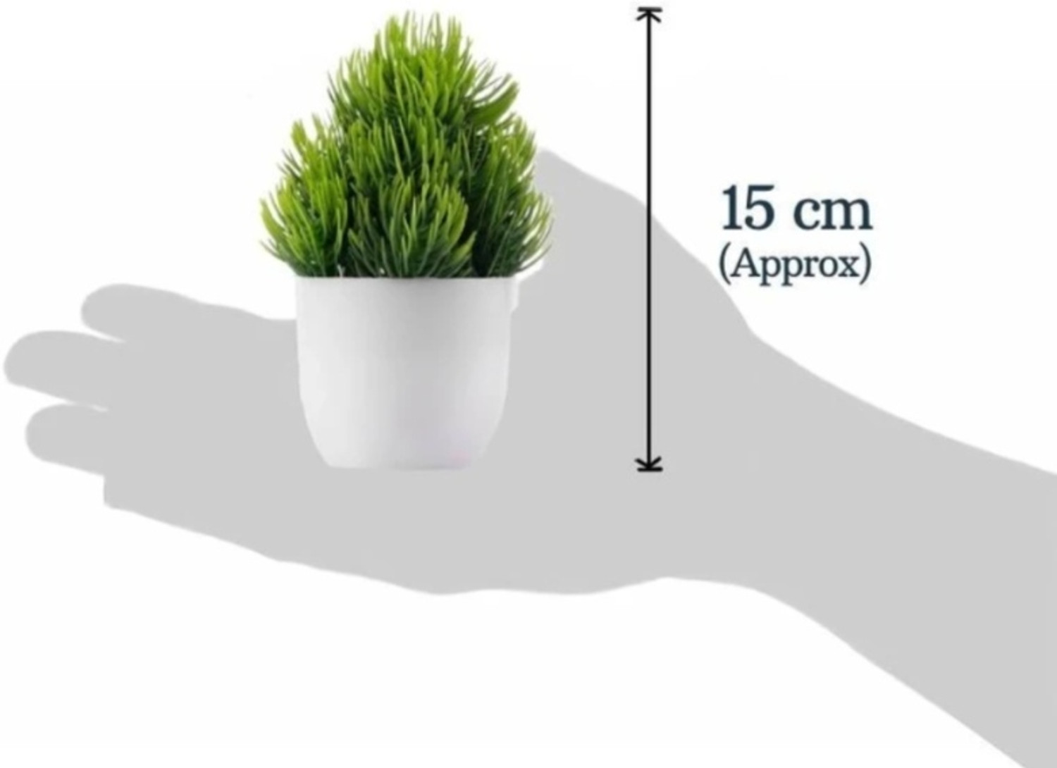 Image of Nandi Wild Artificial Plant