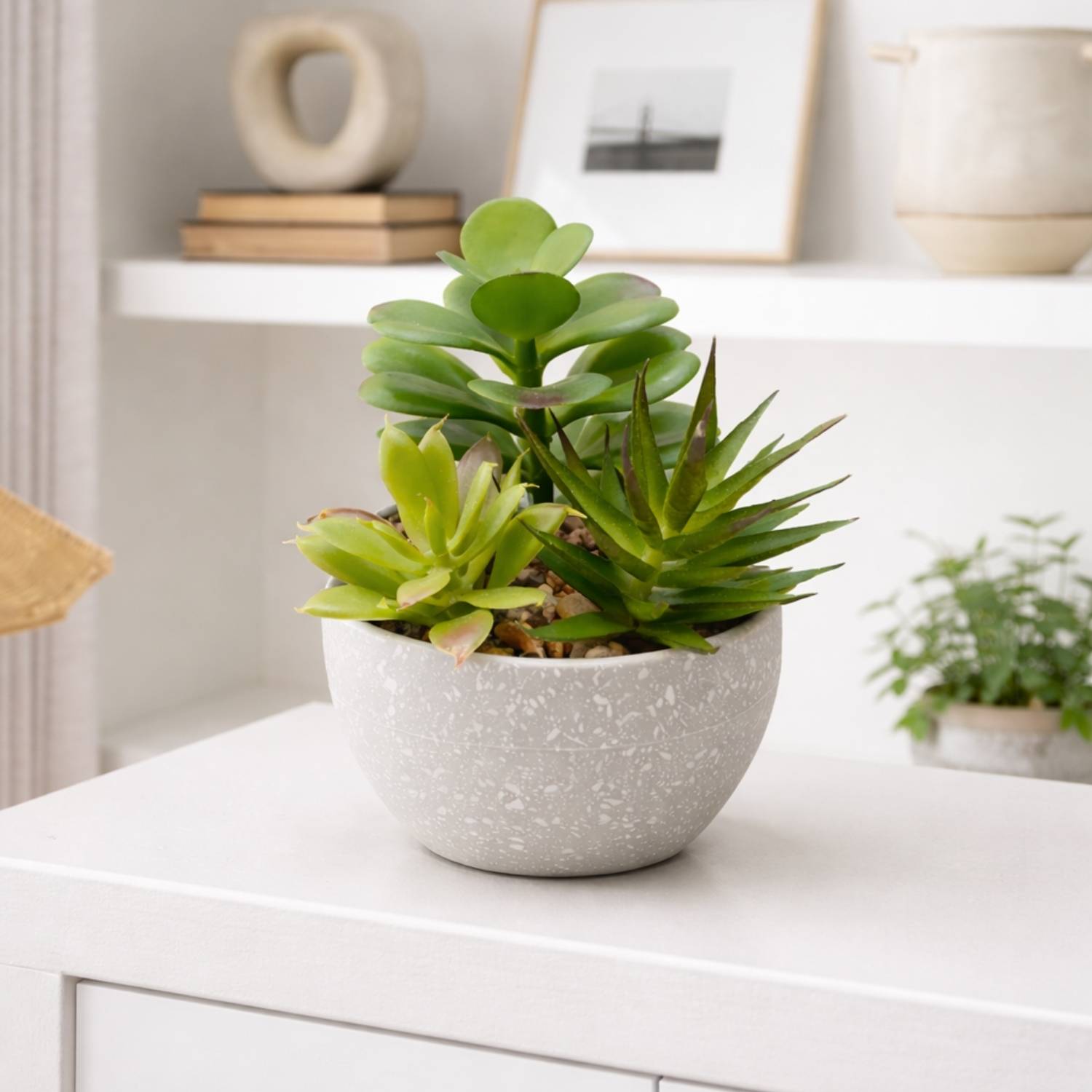Pink Olive Artificial Succulent Plant with Pot for Home & Office