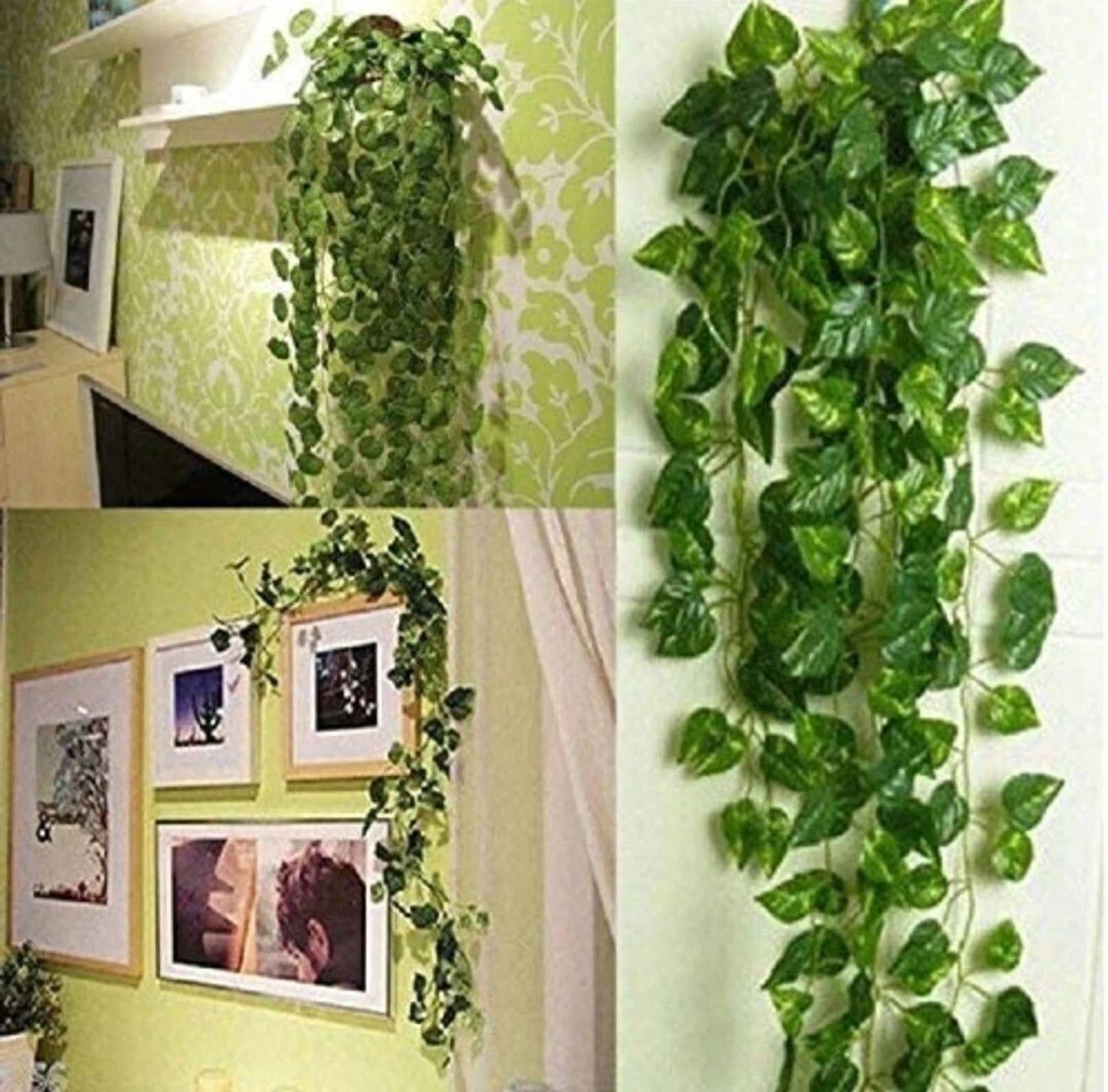 Alankrit 8ft Set of 2 Artificial Money Plant Vine,For Home Wall O