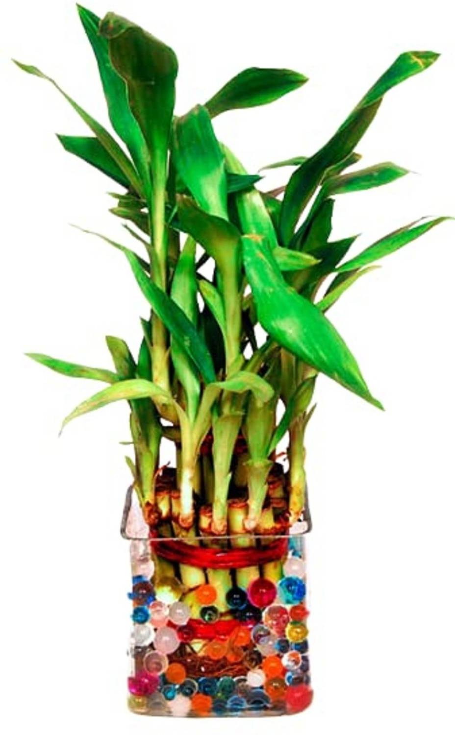 Green Plant indoor Bonsai Artificial Plant with Pot (10 cm, Gree