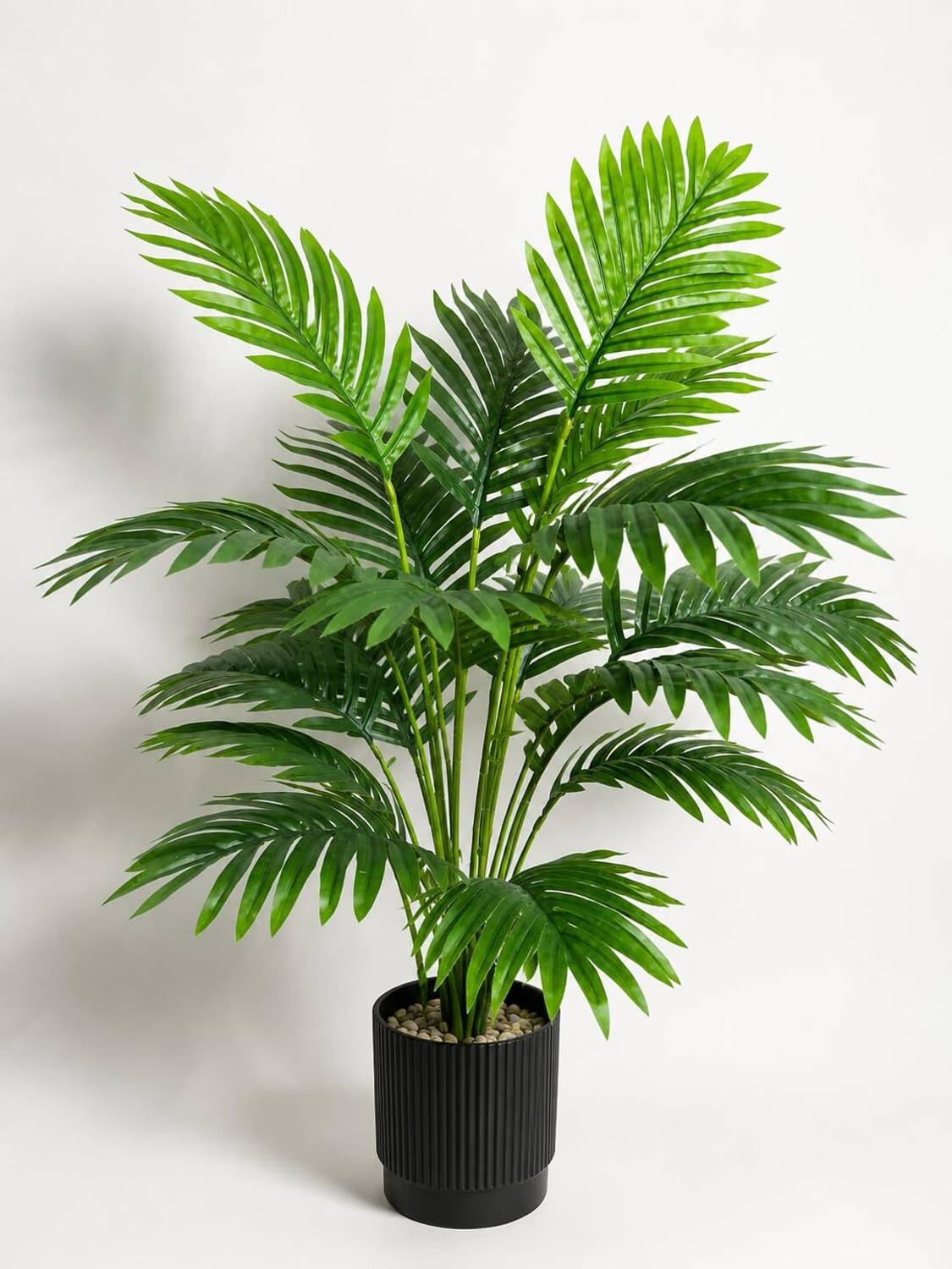 Buffels India Artificial Plant  with Pot