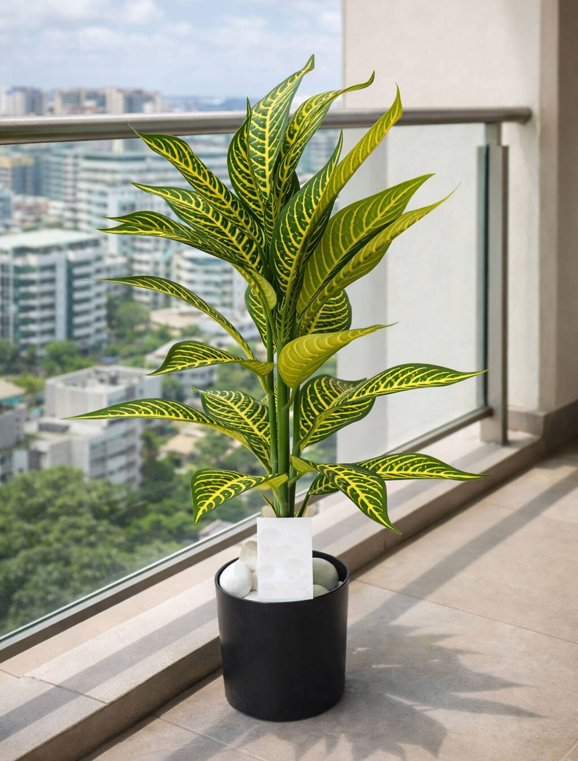 DODECROO Long Leaf Plant , Indoor Plant For Office & Home D cor (