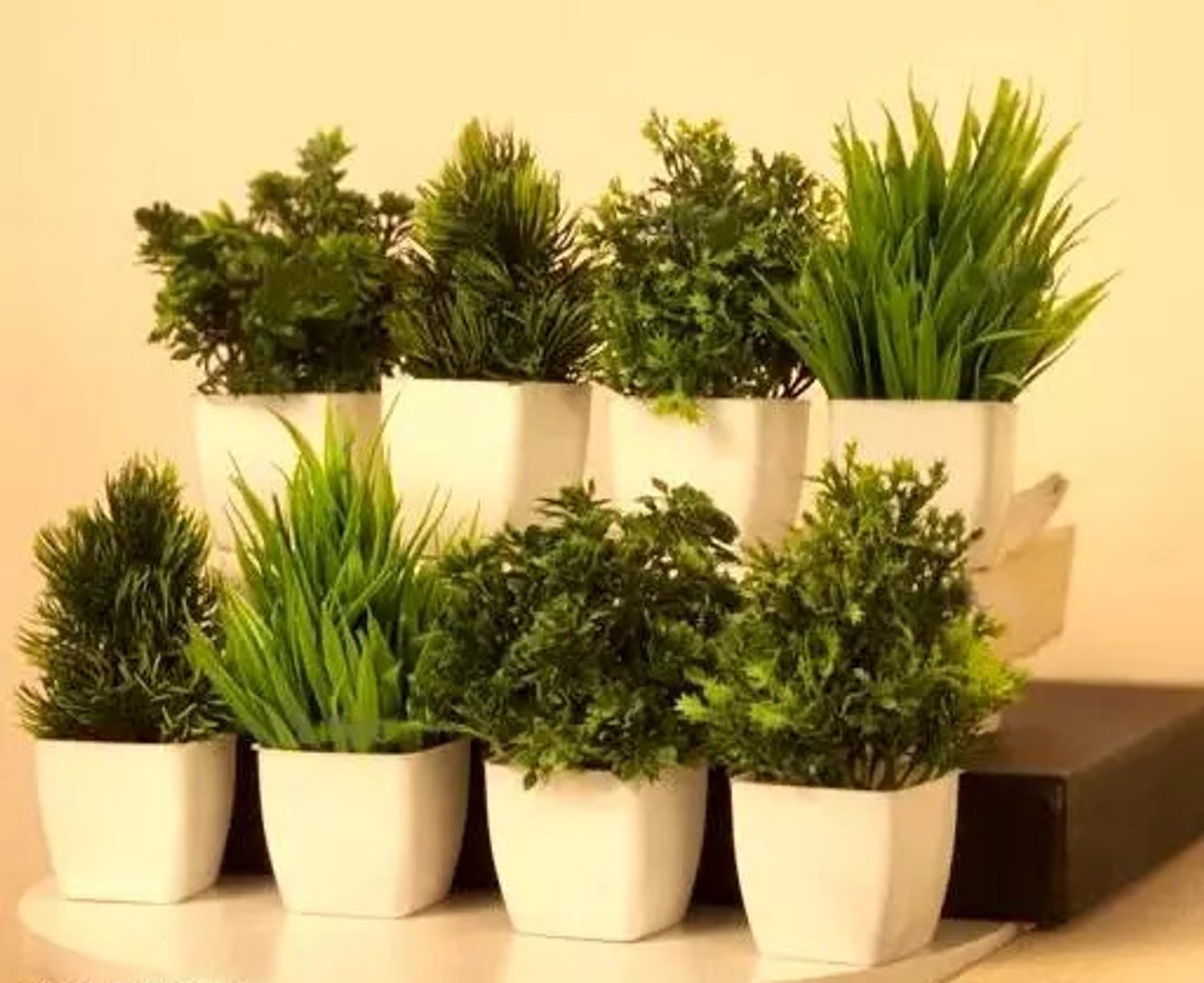 Image of Assembled Naturaly 8 Mini /Small Artificial Plants Bonsai Wild Artificial Plant with Pot Bonsai Artificial Plant with Pot (15 cm, Green)