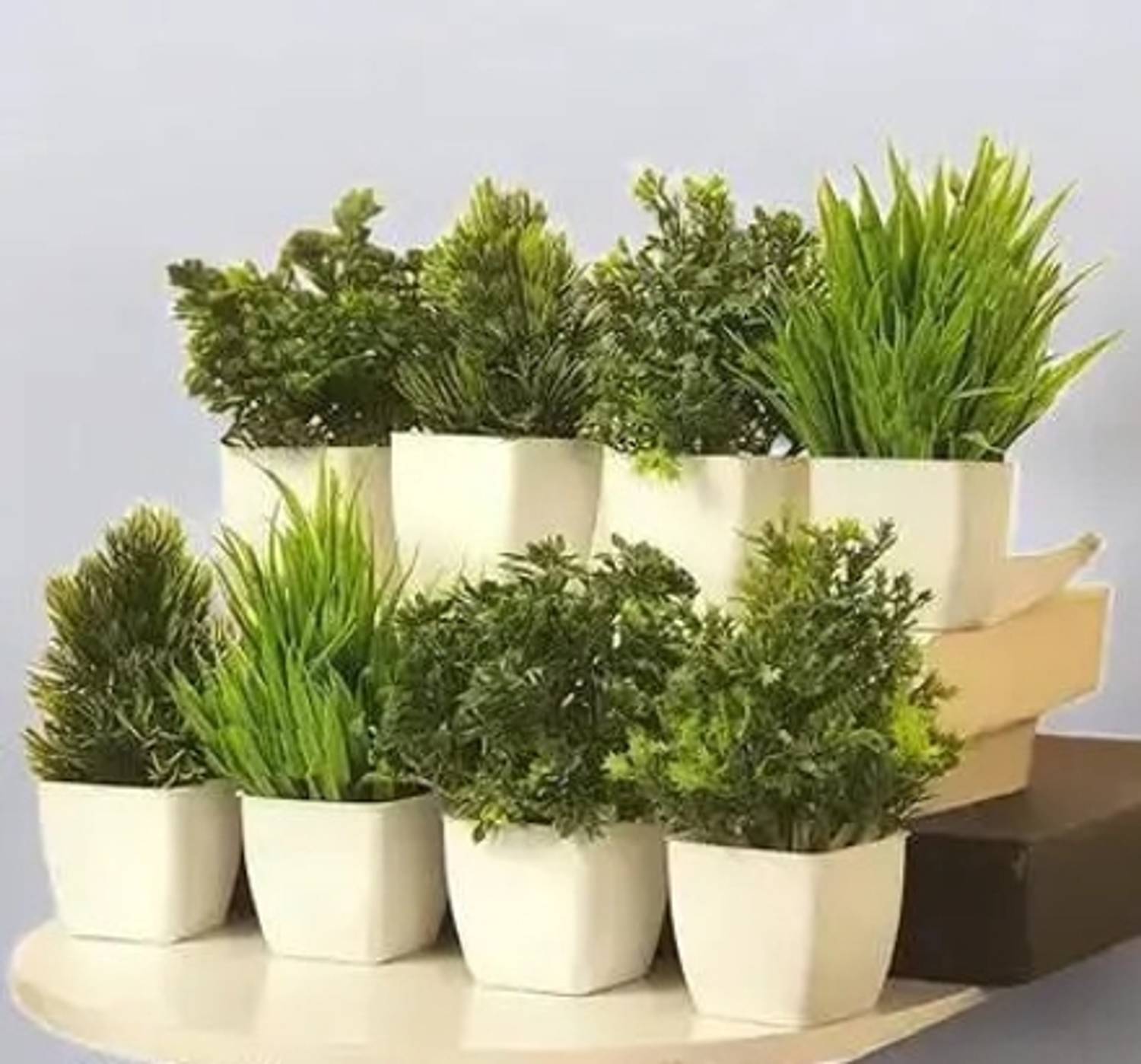 brozzo Naturaly 8 Mini/Small Artificial Plants Bonsai Wild Artificial Plant with Pot Bonsai Artificial Plant  with Pot
