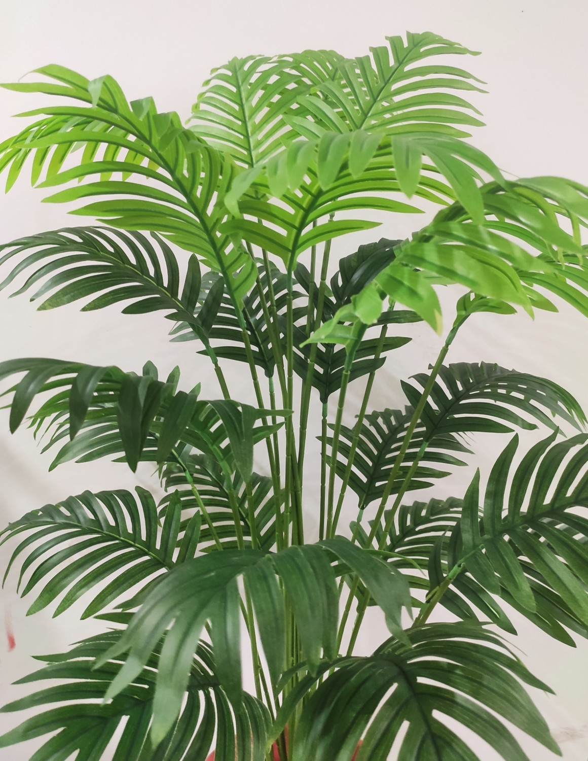 Image of BAARIG 24 Leaves Areca Palm Indoor Plant for Home /Shop /Office Decor /Gifting Without Pot Artificial Plant