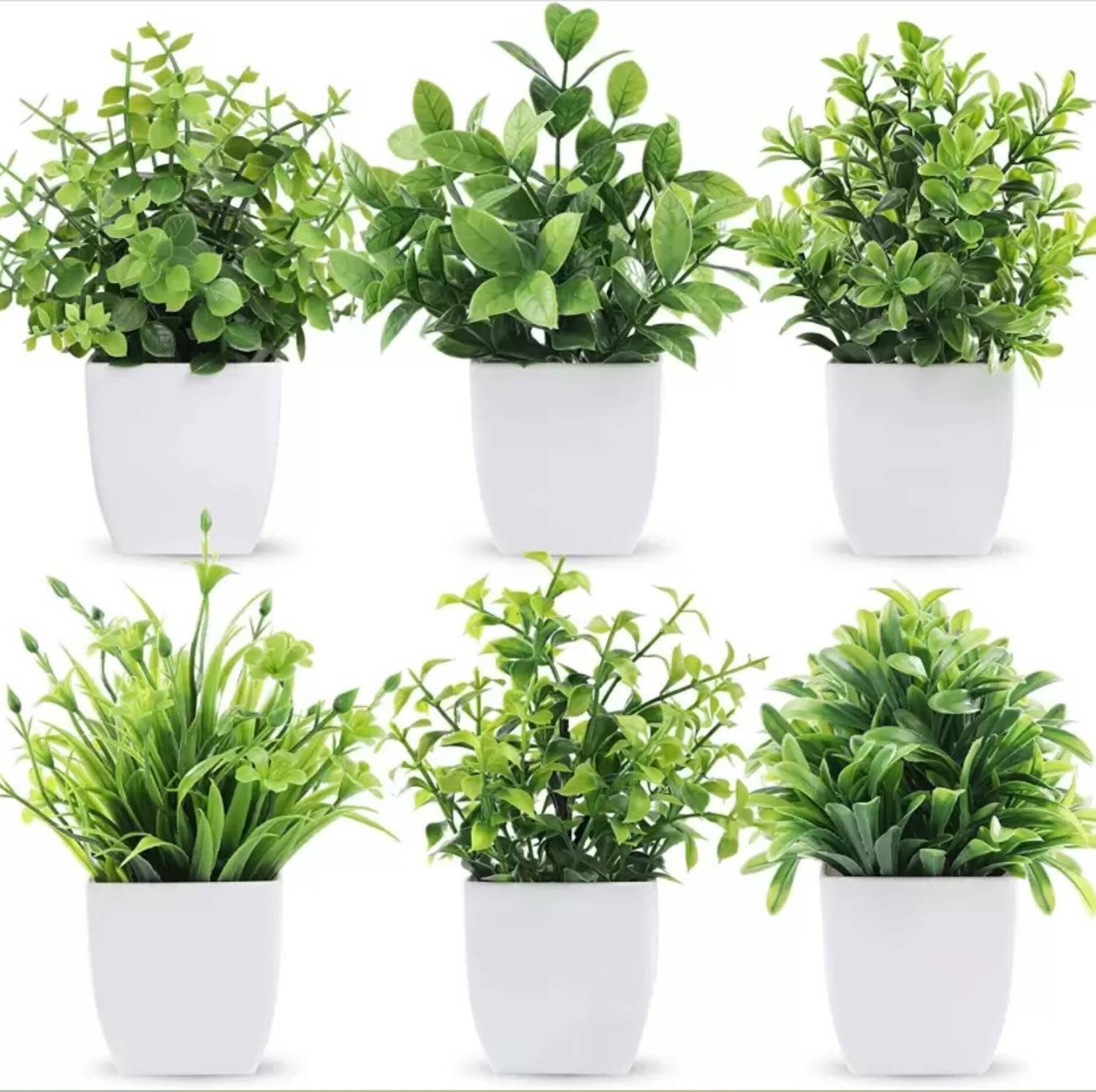 CARNIVAL set of 6 Bonsai Artificial Plant with Pot