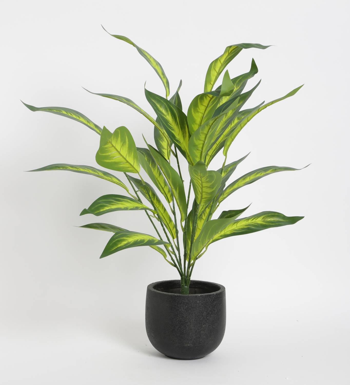 ARICKDECOR Artificial Green Iceton Dieffenbachia Plant Having 26 Leaves without Pot Artificial Plant