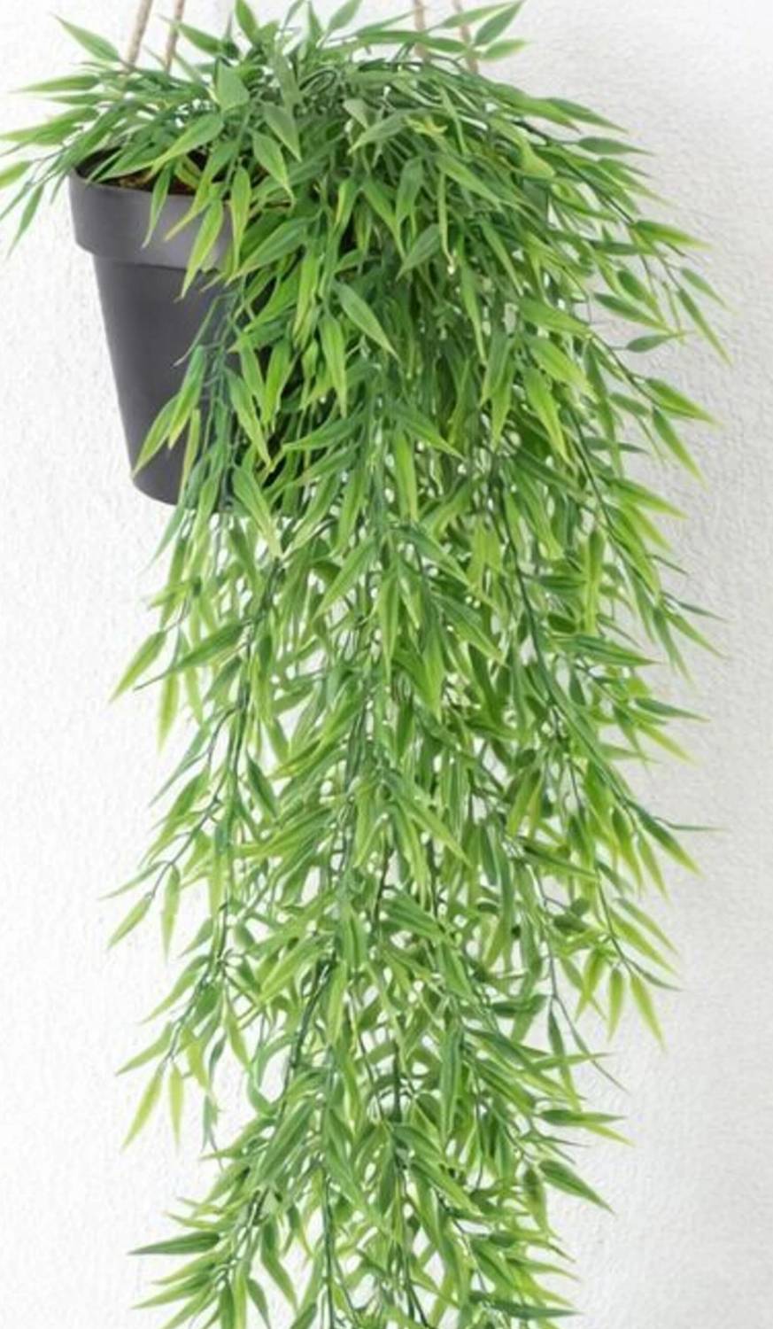 Ansaribrothers Artificial HangingBamboo Plant76 cm_ Decore for Home,BalconyWallDecor Pack of 1 Artificial Plant