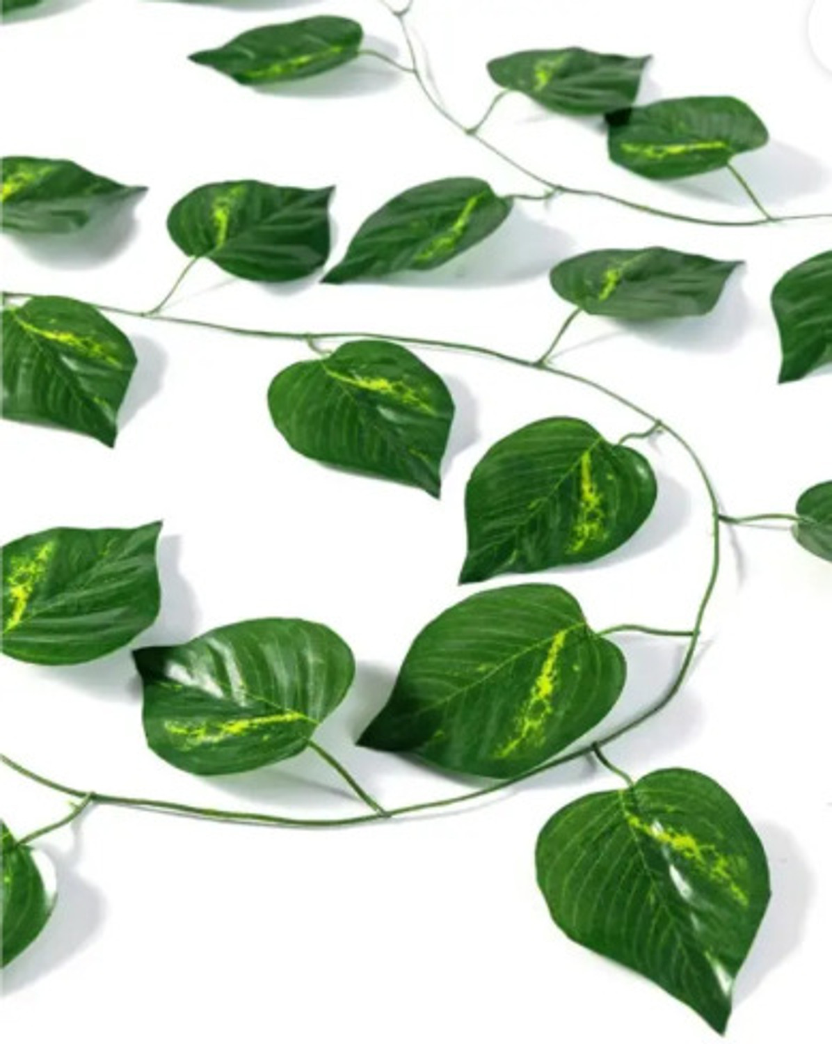Image of ENDECOR Set of 2 Artificial Money Plant Creeper For Home Garden Decoration Green Hibiscus Artificial Flower